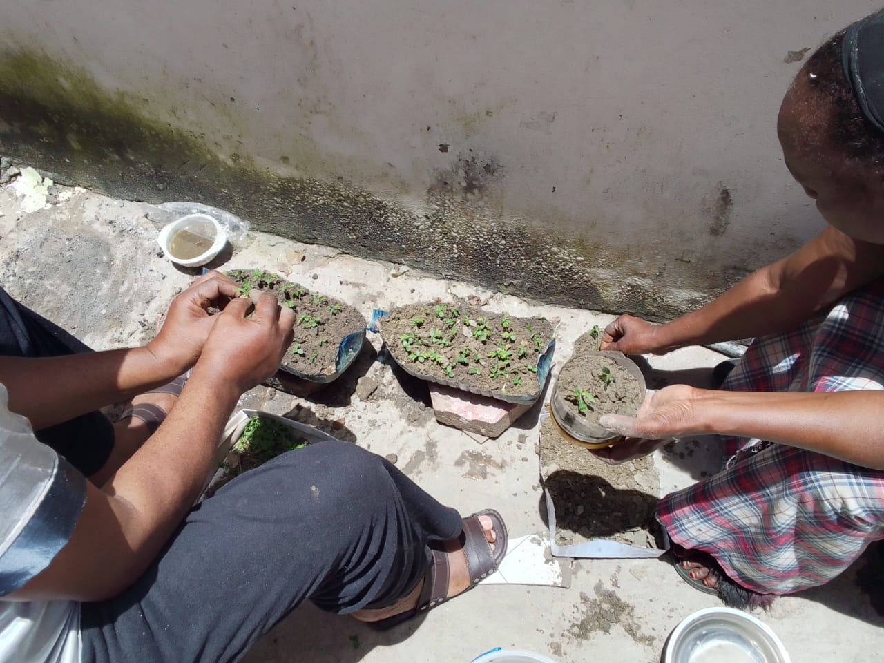 2025-12-29 05.38.39 (1)