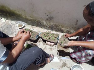 2025-12-29 05.38.39 (1)